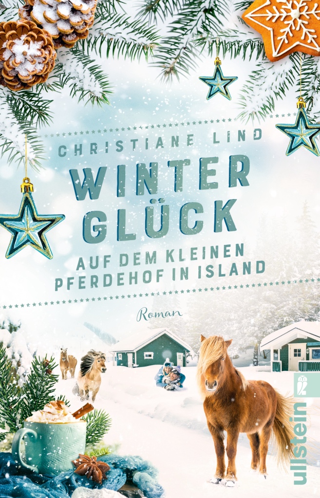 Winterglück kleinen Pferdehof Island Christiane Lind
